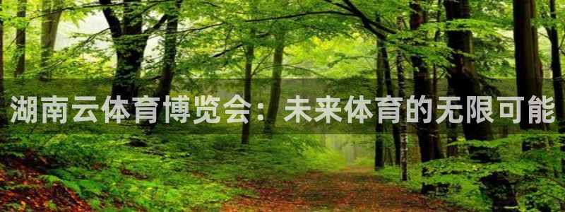 佛山市南海蓝图娱乐机电仪器有限公司：湖南云体育博览会：未来体育的无限可能