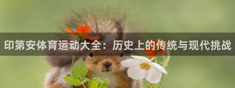德国意昂集团：印第安体育运动大全：历史上的传统与现代挑战
