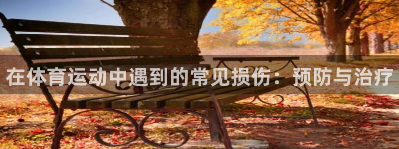 蓝图娱乐体育凯捷平台注册：在体育运动中遇到的常见损伤：预防与治疗