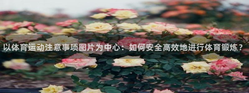 蓝图娱乐平台招商：以体育运动注意事项图片为中心：如何安全高效地进行体育锻炼？