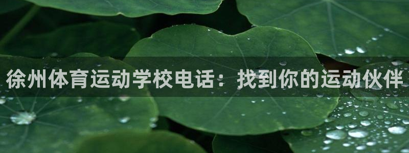 蓝图娱乐f凯捷平台在线注册：徐州体育运动学校电话：找到你的运动伙伴