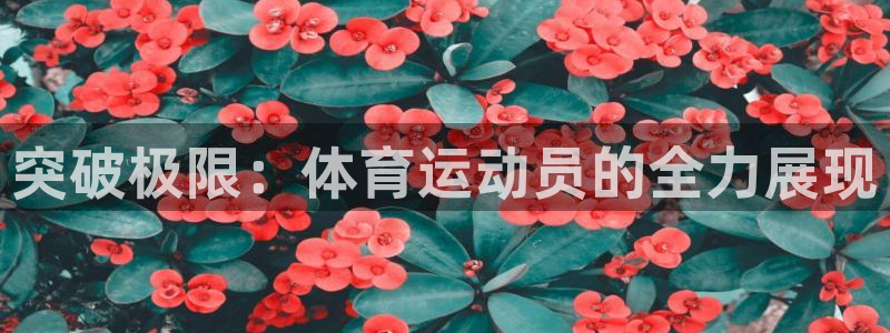 蓝图娱乐2注册：突破极限：体育运动员的全力展现
