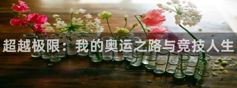蓝图娱乐集团股票：超越极限：我的奥运之路与竞技人生