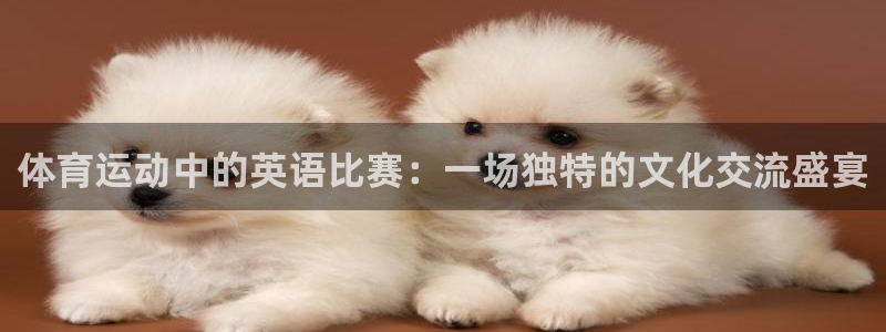 杭州意昂科技有限公司：体育运动中的英语比赛：一场独特的文化交流盛宴