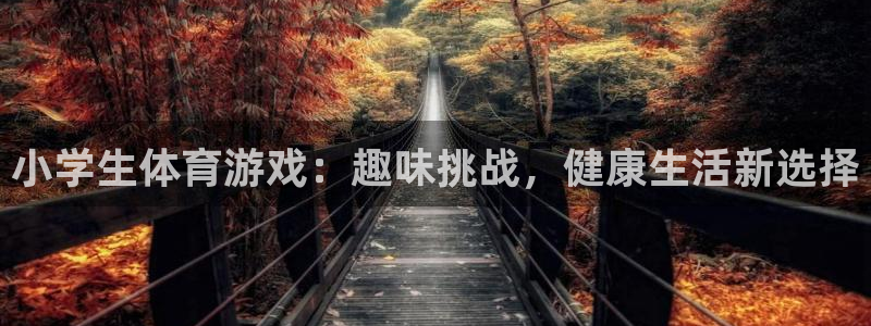 蓝图娱乐2代理注册：小学生体育游戏：趣味挑战，健康生活新选择