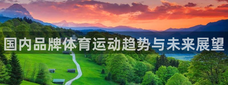 意昂5平台：国内品牌体育运动趋势与未来展望