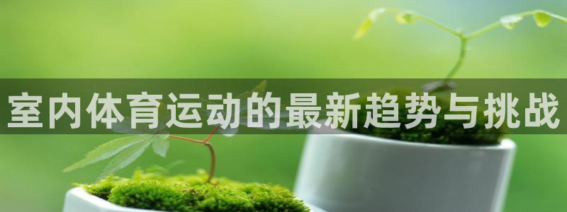 意昂主管：室内体育运动的最新趋势与挑战
