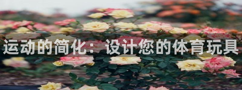 蓝图娱乐平台注册入口：运动的简化：设计您的体育玩具