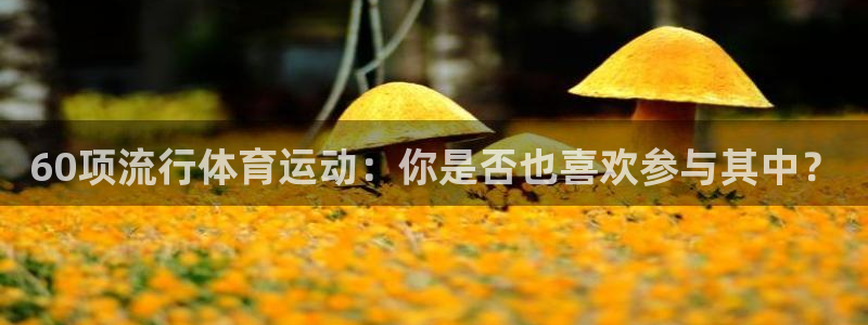 蓝图娱乐3平台登录注册：60项流行体育运动：你是否也喜欢参与其中？