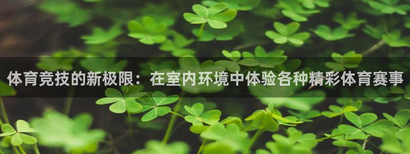 蓝图娱乐2登录入口：体育竞技的新极限：在室内环境中体验各种精彩体育赛事