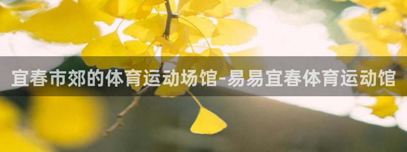 蓝图娱乐体育注册：宜春市郊的体育运动场馆-易易宜春体育运动馆
