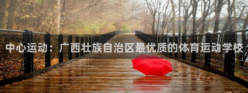 蓝图娱乐凯捷平台：中心运动：广西壮族自治区最优质的体育运动学校