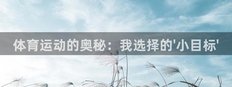 蓝图娱乐体育凯捷代理注册：体育运动的奥秘：我选择的\'小目标\'