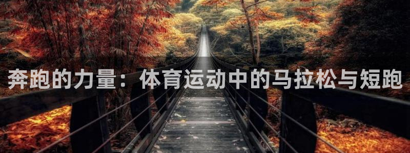 蓝图娱乐体育论坛：奔跑的力量：体育运动中的马拉松与短跑