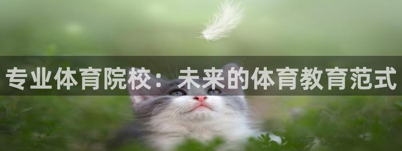 蓝图娱乐4代理：专业体育院校：未来的体育教育范式
