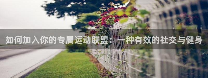 蓝图娱乐能源：如何加入你的专属运动联盟：一种有效的社交与健身