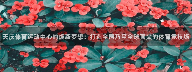 蓝图娱乐凯捷平台注册链接：天庆体育运动中心的焕新梦想：打造全国乃至全球顶尖的体育