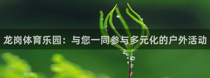 意昂主管：龙岗体育乐园：与您一同参与多元化的户外活动