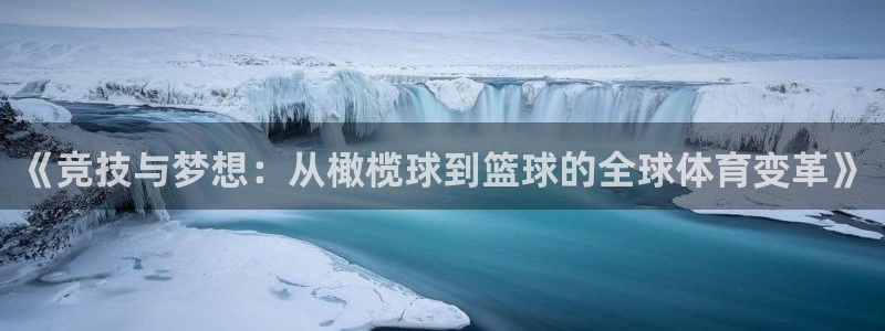 东莞市意昂电子科技有限公司：《竞技与梦想：从橄榄球到篮球的全球体育变革》