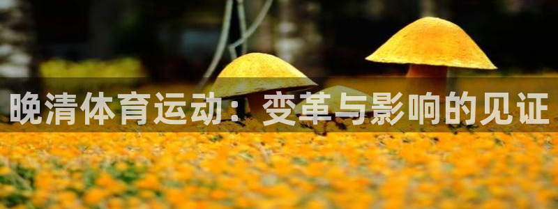 蓝图娱乐4登录：晚清体育运动：变革与影响的见证