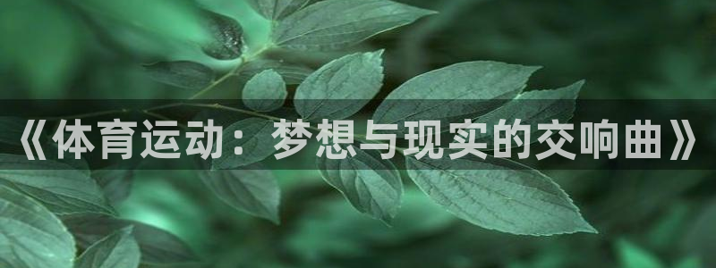 蓝图娱乐体育3在线注册：《体育运动：梦想与现实的交响曲》