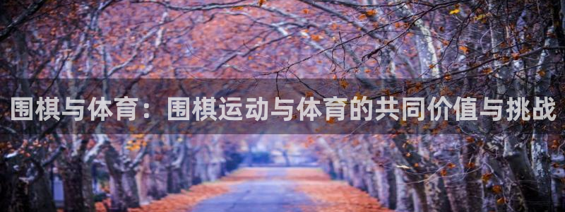 意昂5注册：围棋与体育：围棋运动与体育的共同价值与挑战
